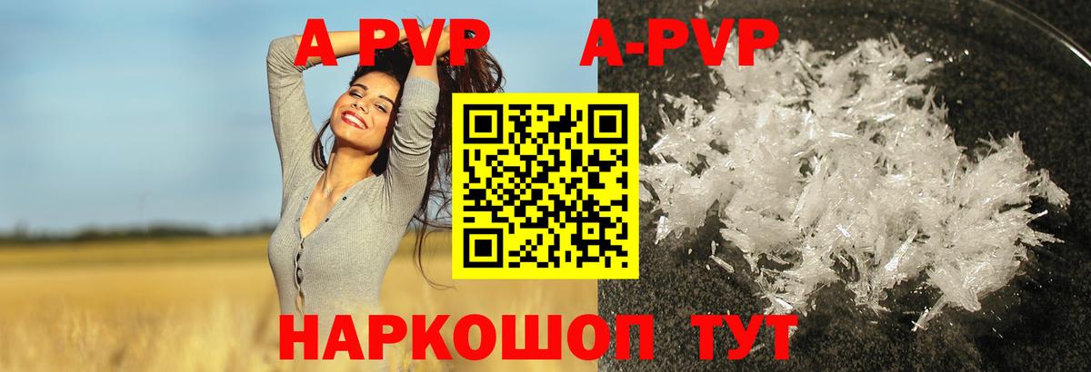 A-PVP СК Чебоксары