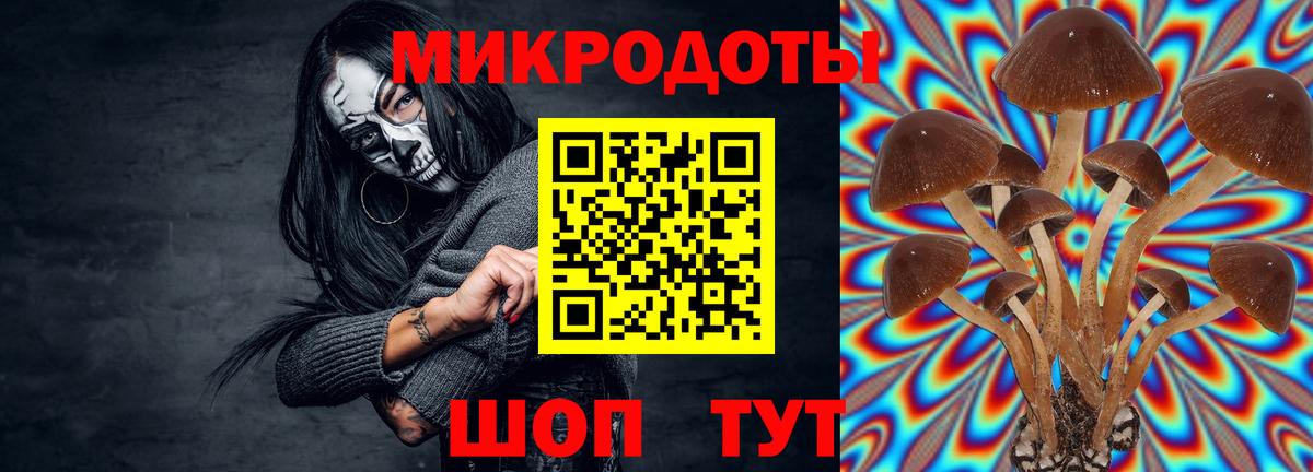 Галлюциногенные грибы ЛСД  Псилоцибиновые грибы мухоморы  Чебоксары  Вход с VPN 